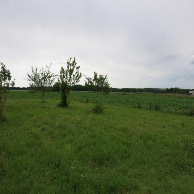 Offres de vente Terrain Géraudot (10220)